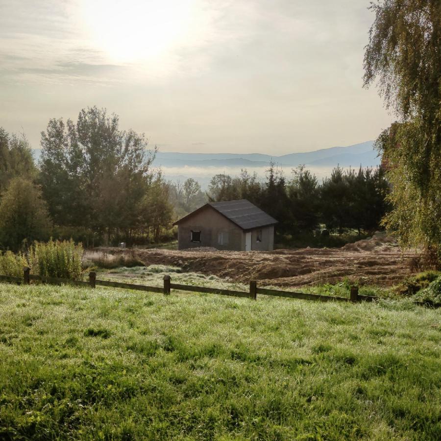 Domek Na Wzgorzu Wojcieszyce Exterior foto