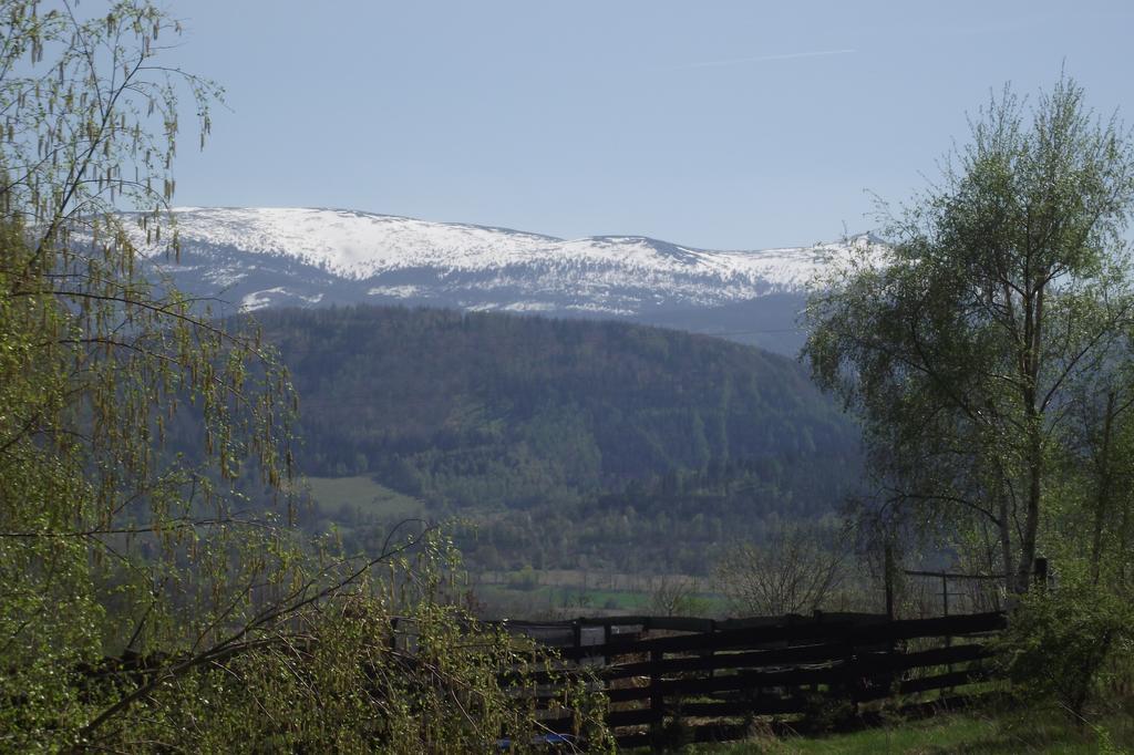 Domek Na Wzgorzu Wojcieszyce Exterior foto